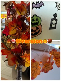 ショールーム秋仕様！！